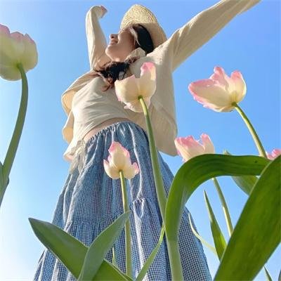 异星战甲之青龙 海报